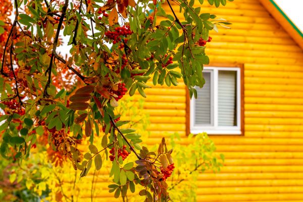 Garden Window Replacement in Mooresville